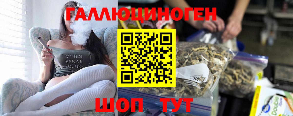 Галлюциногенные грибы прущие грибы Саратов