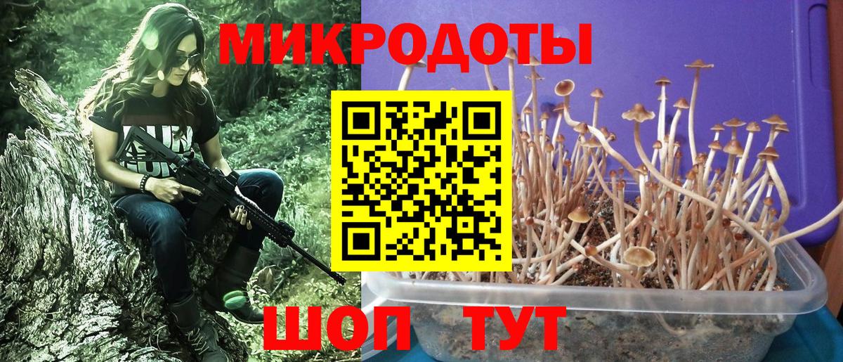 Саратов  Псилоцибиновые грибы GOLDEN TEACHER  купить закладку  Вход с VPN 
